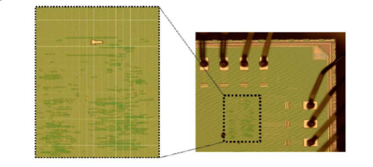 Circuit micrograph